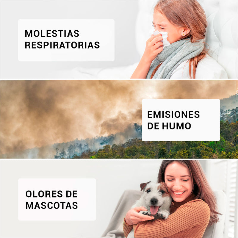 Filtro Smartmi P1